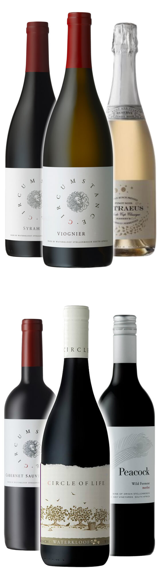 Weinreise zu Waterkloof