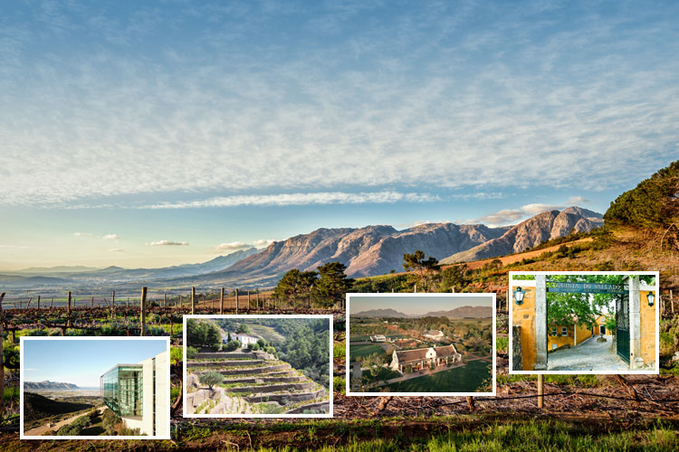 The TOP 10 wineries from South Africa & Portugal