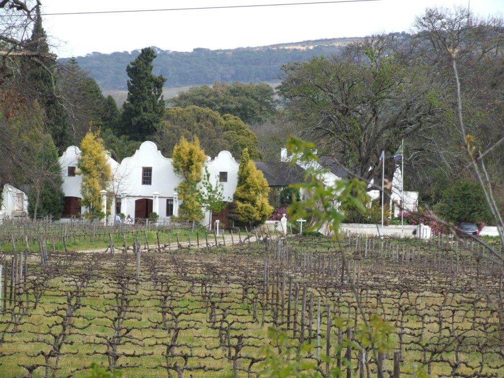 Kaapse Familie Wingerde