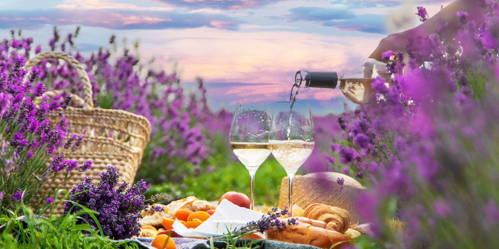 Gemütliches Picknick zwischen Lavendel, zwei Gläser werden mit Weißwein gefüllt 