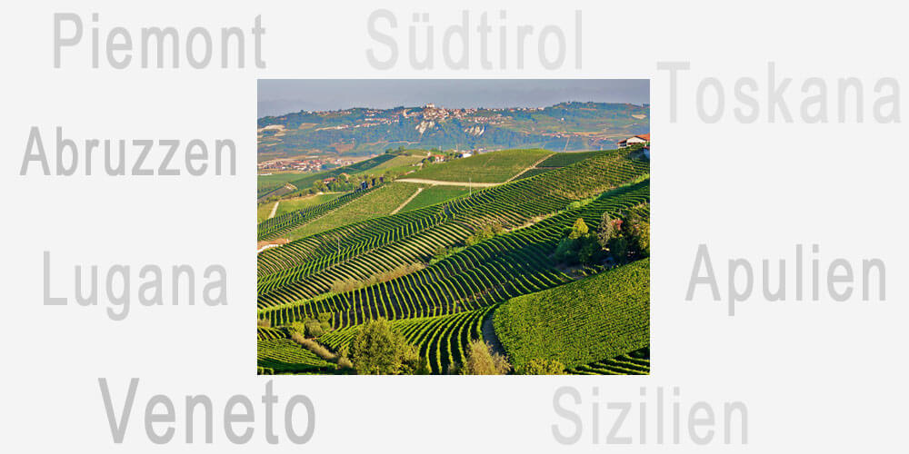 Landschaft mit Weinfeldern in Italien ergänzt mit Namen bekannter Weinanbauregionen