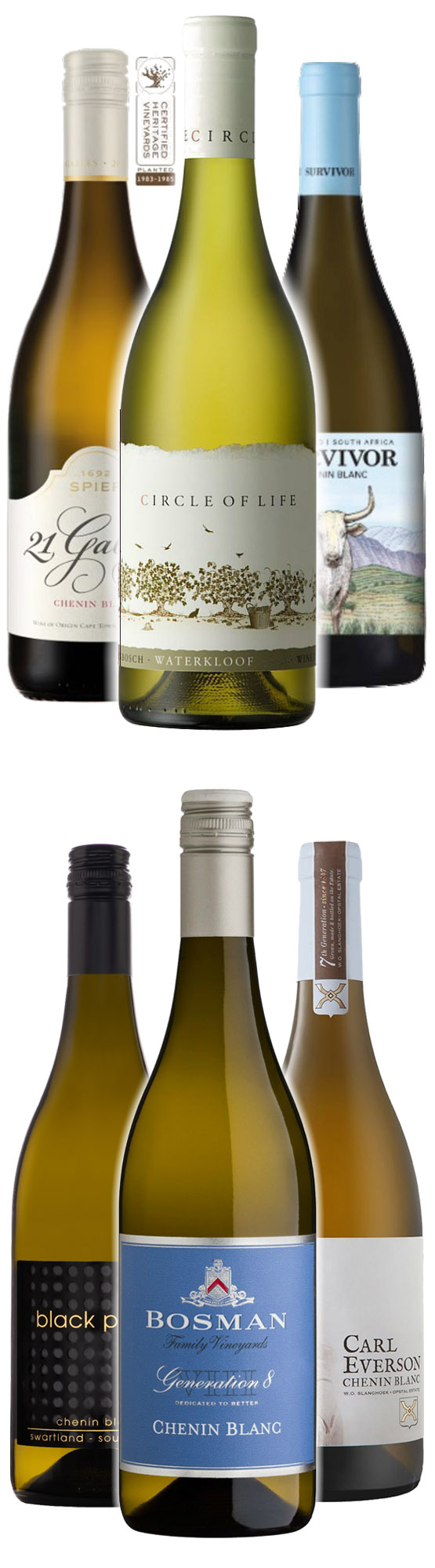 Chenin Blanc Tasting Collection – The Versatile All-Rounder