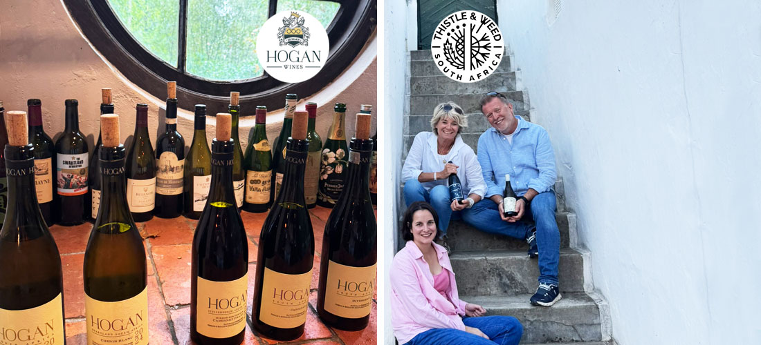 Einladung zum Online Tasting - Weingüter Thisle Weed und Hogan Wines / Südafrika am 15.01.2026