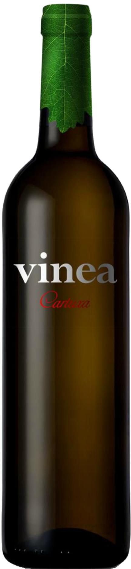 Vinea Cartuxa Branco 2020