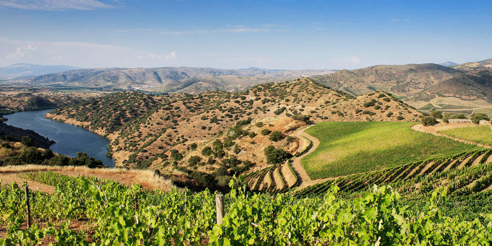 Landschaft in der Weinanbauregion Douro in Portugal