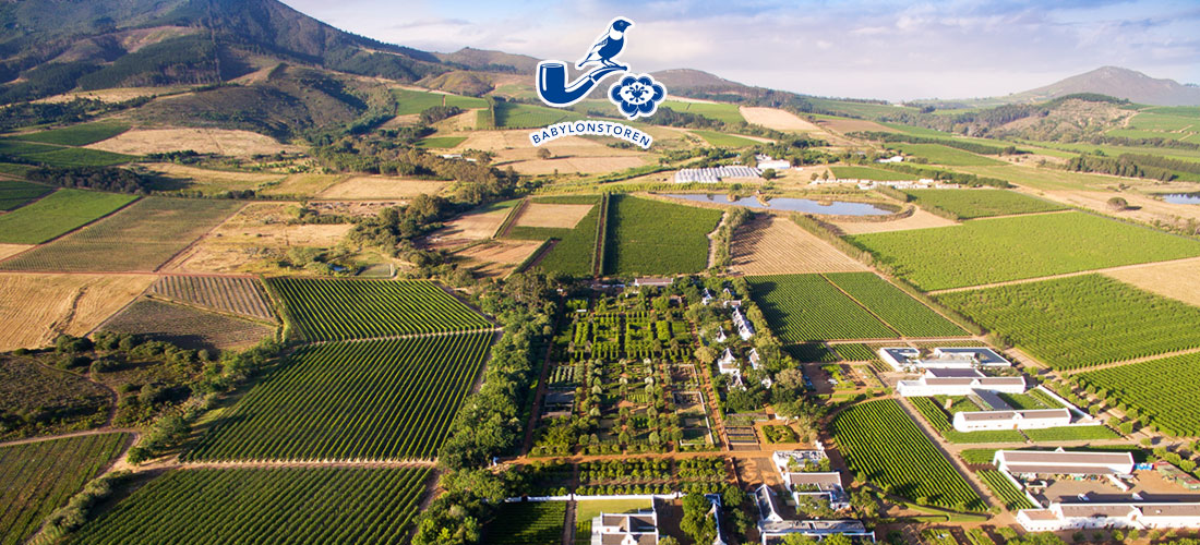 Einladung zum Online Tasting beim Weingut Babylonstoren / Südafrika am 09.10.2025