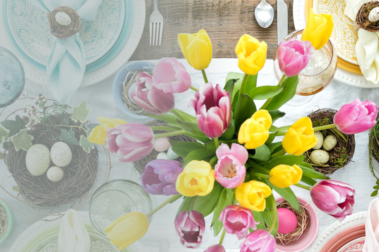 Discover new newsletter offers every week