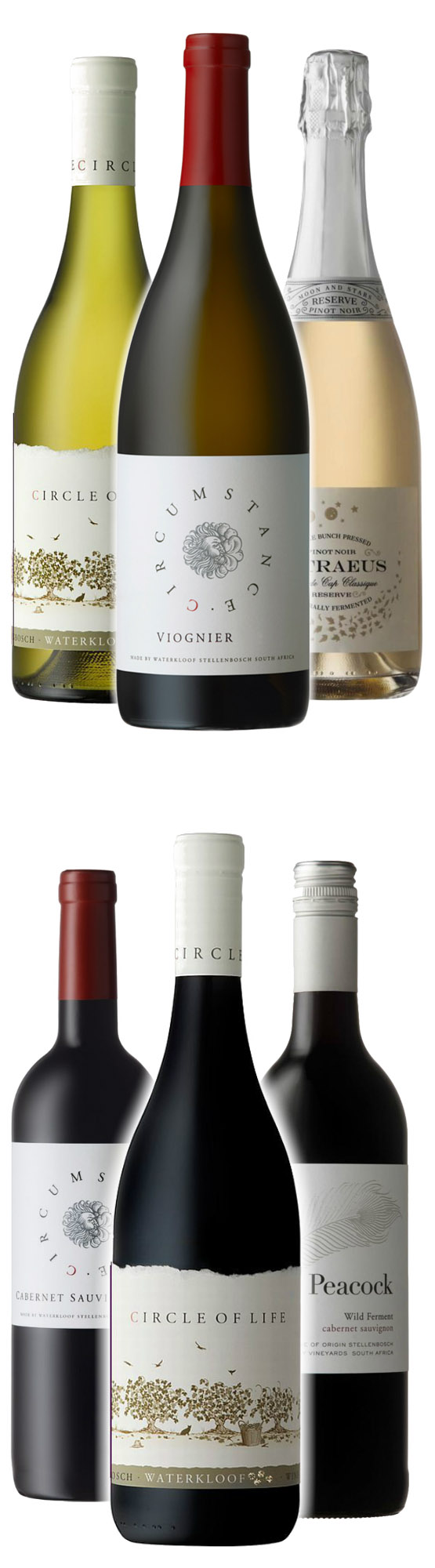 A Wine Journey to Waterkloof