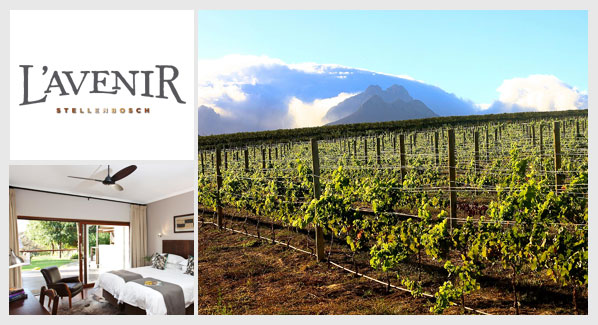 Übernachten auf einem Weingut in Südafrika - Vorstellung des Weingutes L´Avenir, Region Stellenbosch