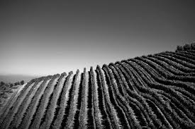 Neil Ellis & Werner Näkel