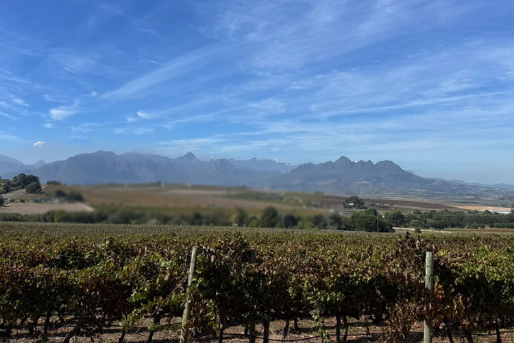 Discover new newsletter offers every week