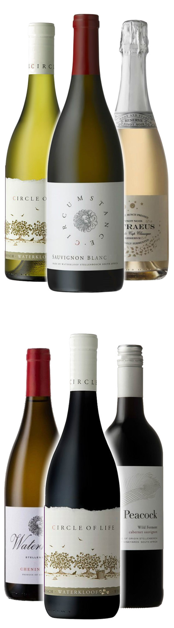 A Wine Journey to Waterkloof
