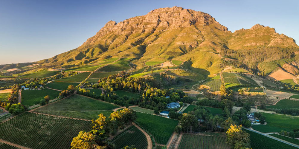 Thelema Mountain Vineyards