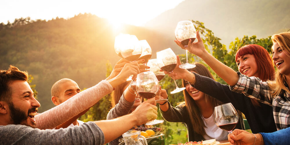 Mehrere junge Menschen sitzen am Gartentisch prosten sich fröhlich mit Weingläsern in der Hand bei Abendsonne zu