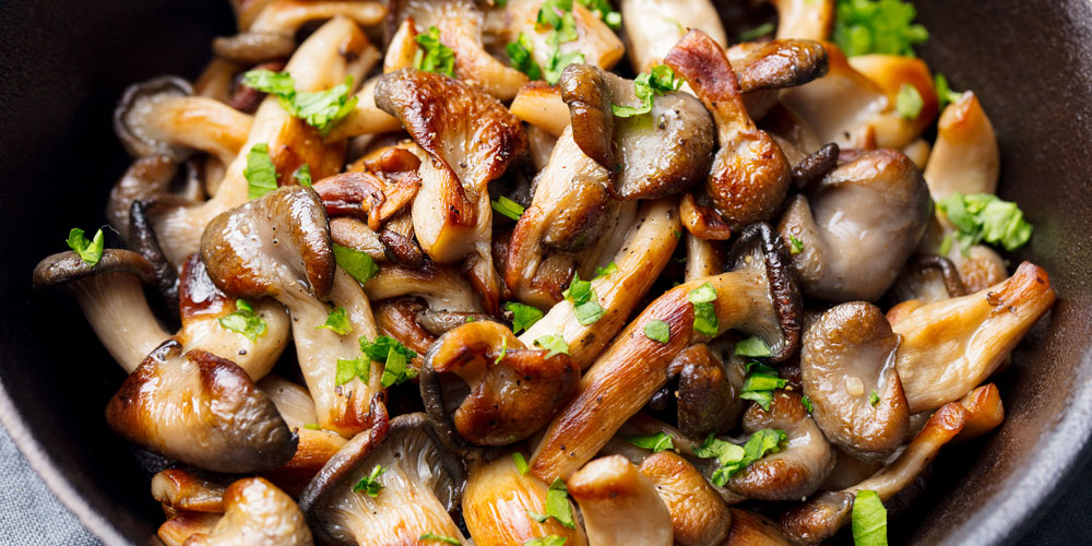 Mushrooms & Wine - Discover the flavours of autumn