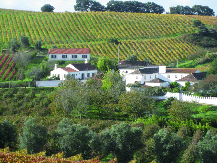 Quinta de Chocapalha