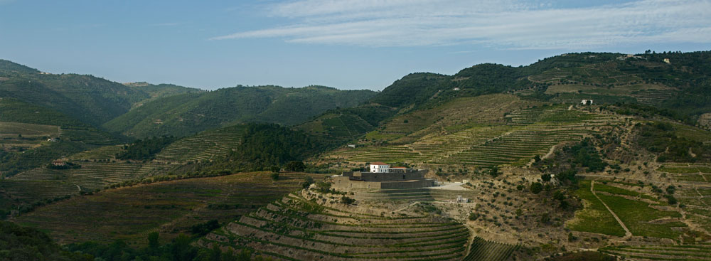 Niepoort Vinhos S.A.