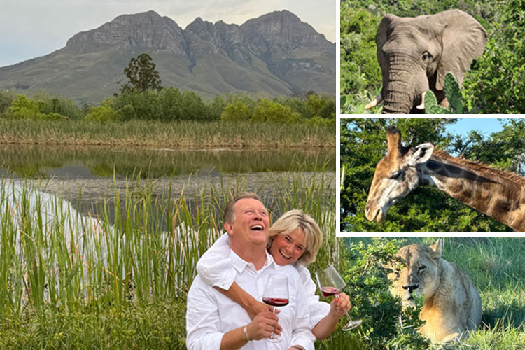 Discover new newsletter offers every week