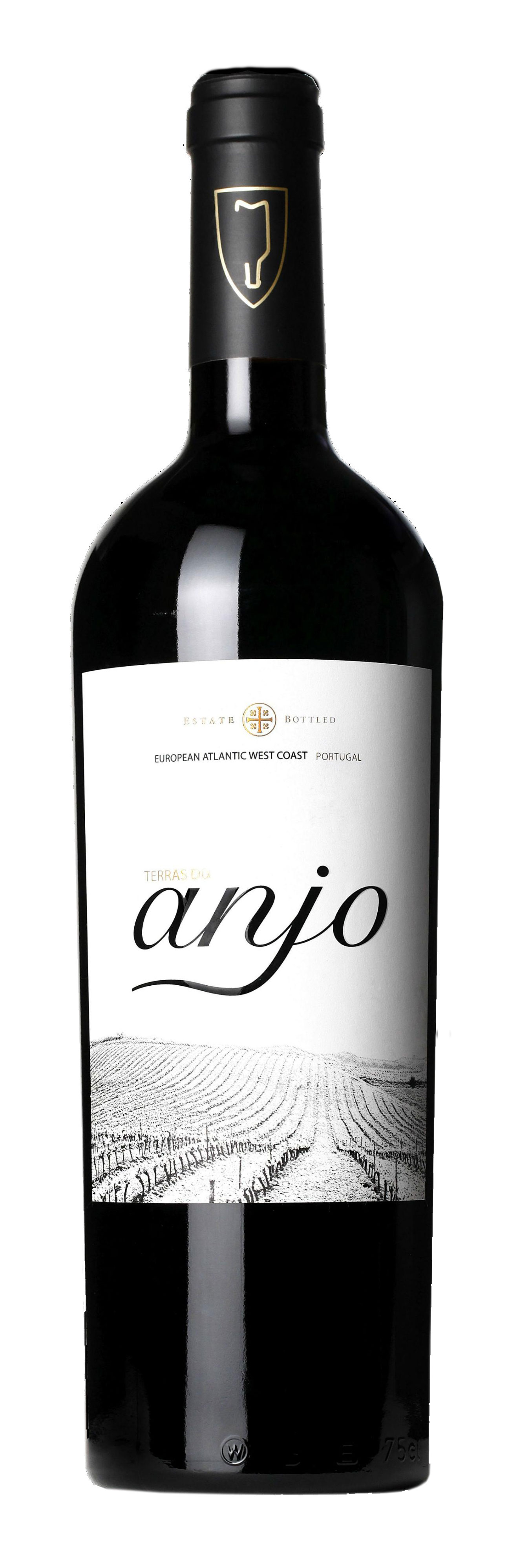 Quinta do Pinto Terras do Anjo Tinto 2013