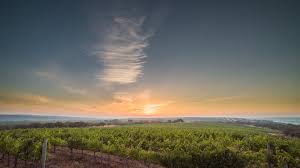 Herdade do Portocarro