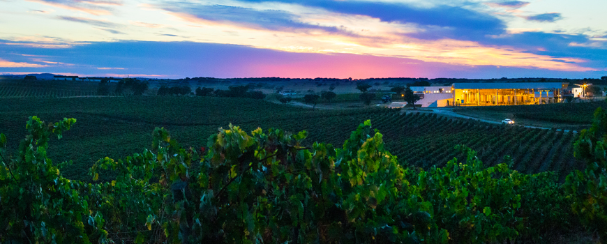 Companhia das Quintas